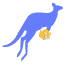 货兜