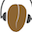 Kaldi Speech Recognition Toolkit