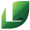 Leaves – Life Stories