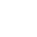 SmartBird