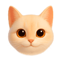 Am I Getting Fatter Quiz