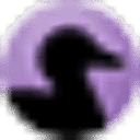 Coverity